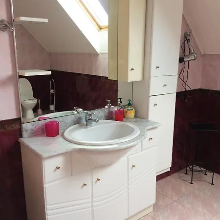 In Проживание в семье Паланга